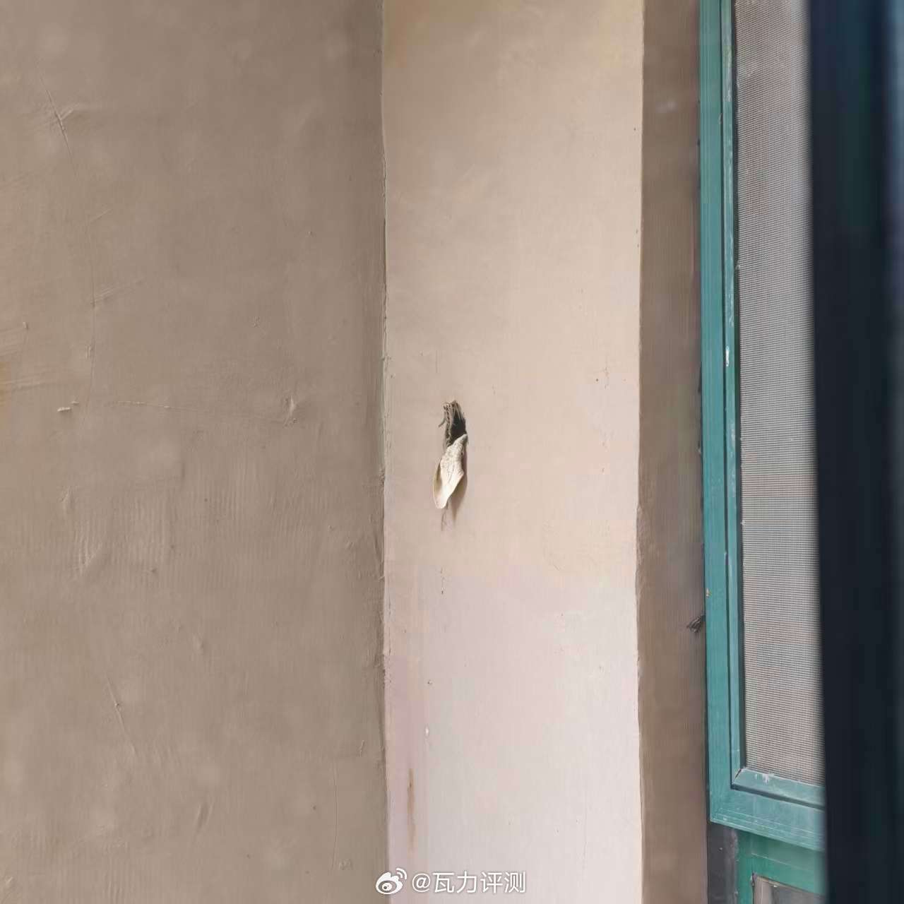 前两年两只鸟住在了我家预留的空调安装口，发现它们生小孩了，于是让安装师傅重新打了