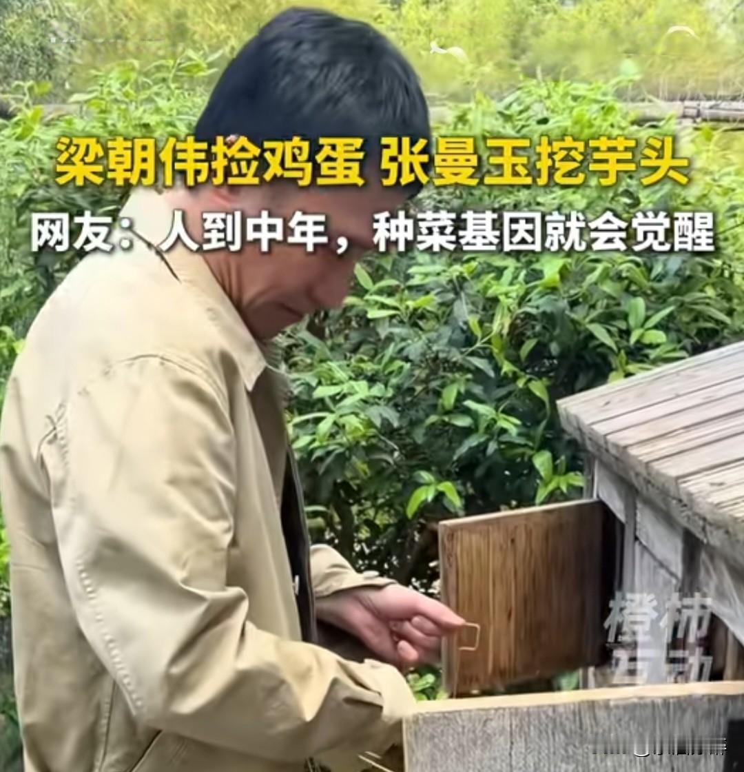 想获得“渣男”的名号？你得先追到女人。连女人都没追到算什么渣男？干渣啊？
明星种