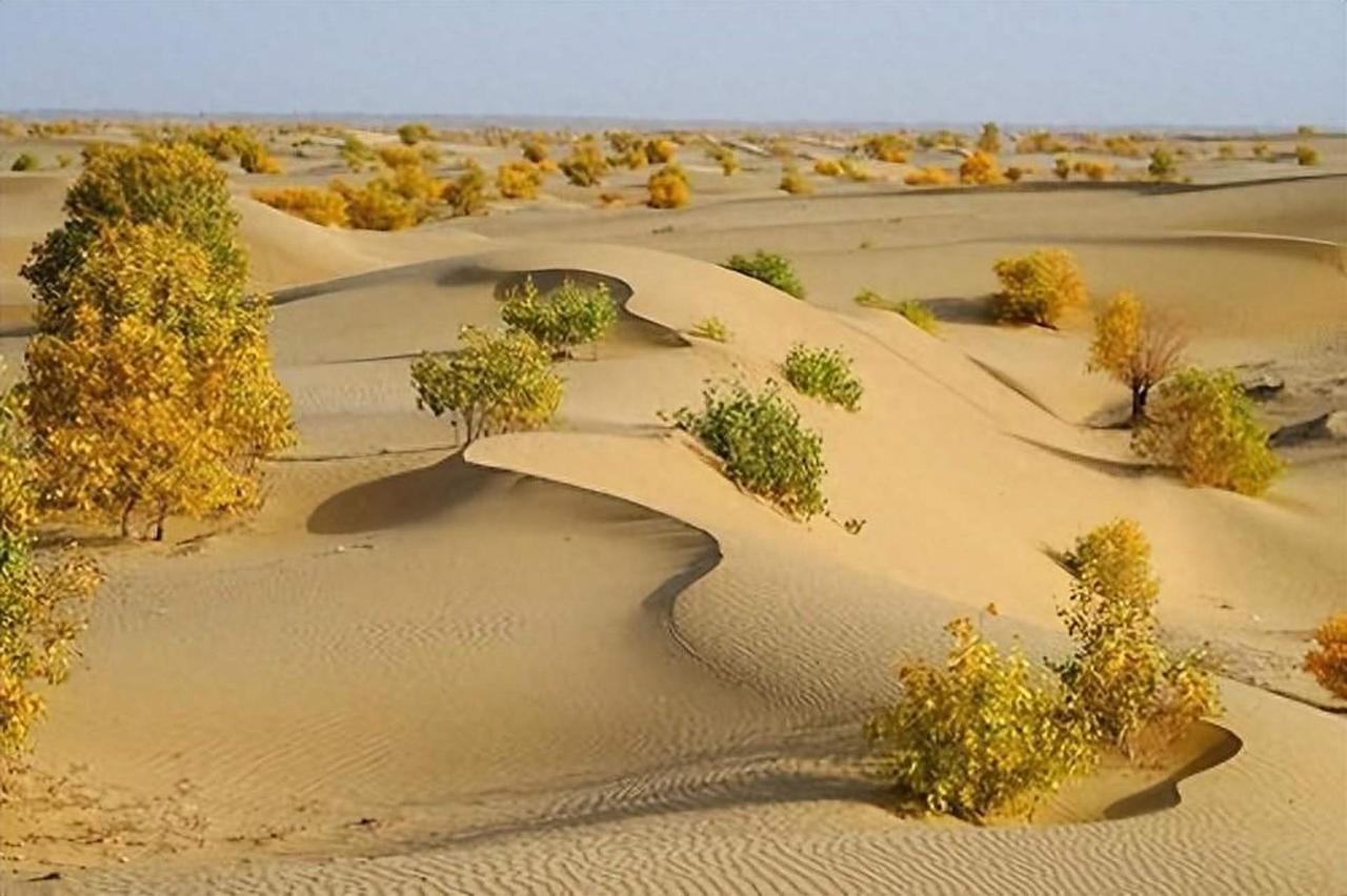 美专家：中国不可怕，可怕的是中国塔里木盆地下藏着地下海洋！
美国专家这句话，本质