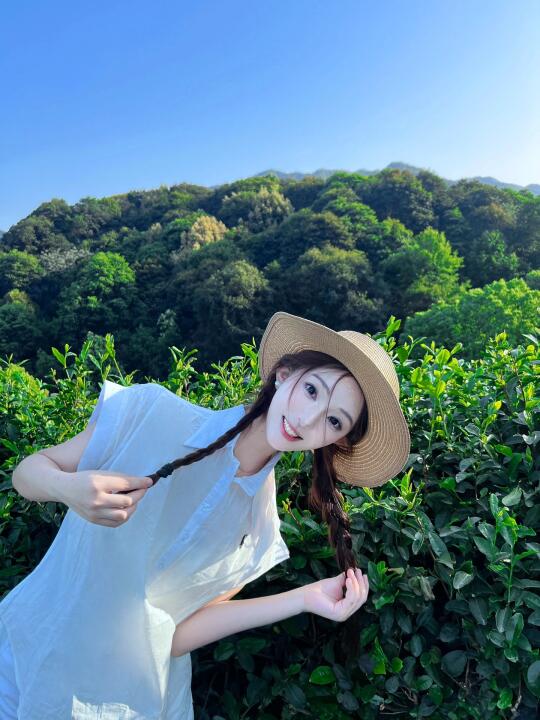 来采茶咯🌿
