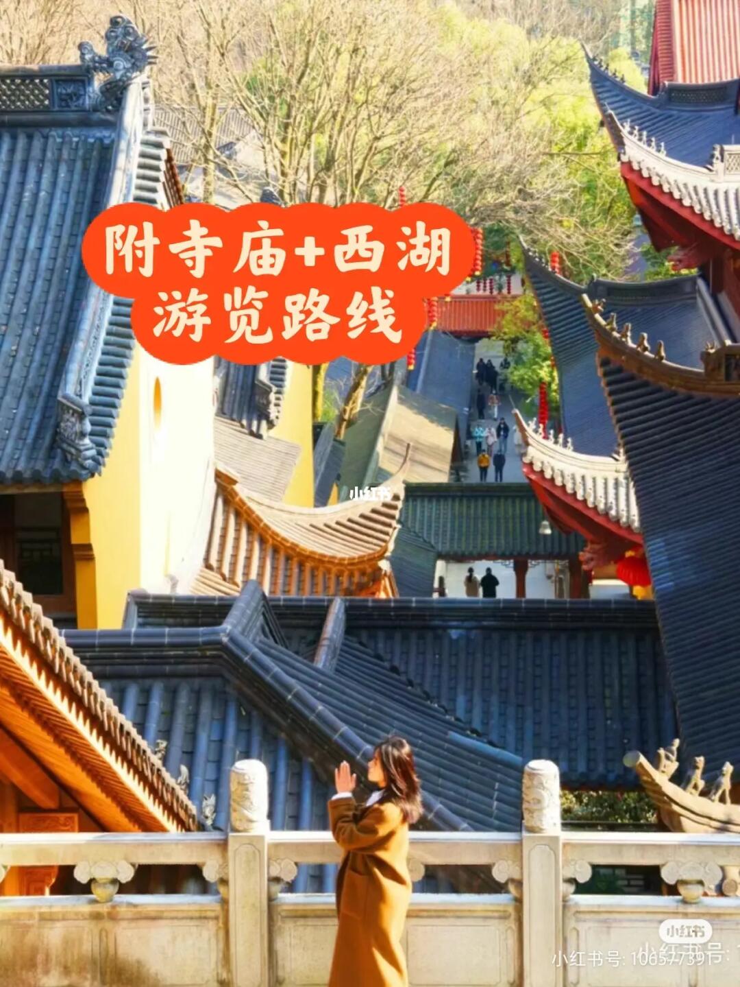 法喜寺500年玉兰花即将绽放/错过再等1年