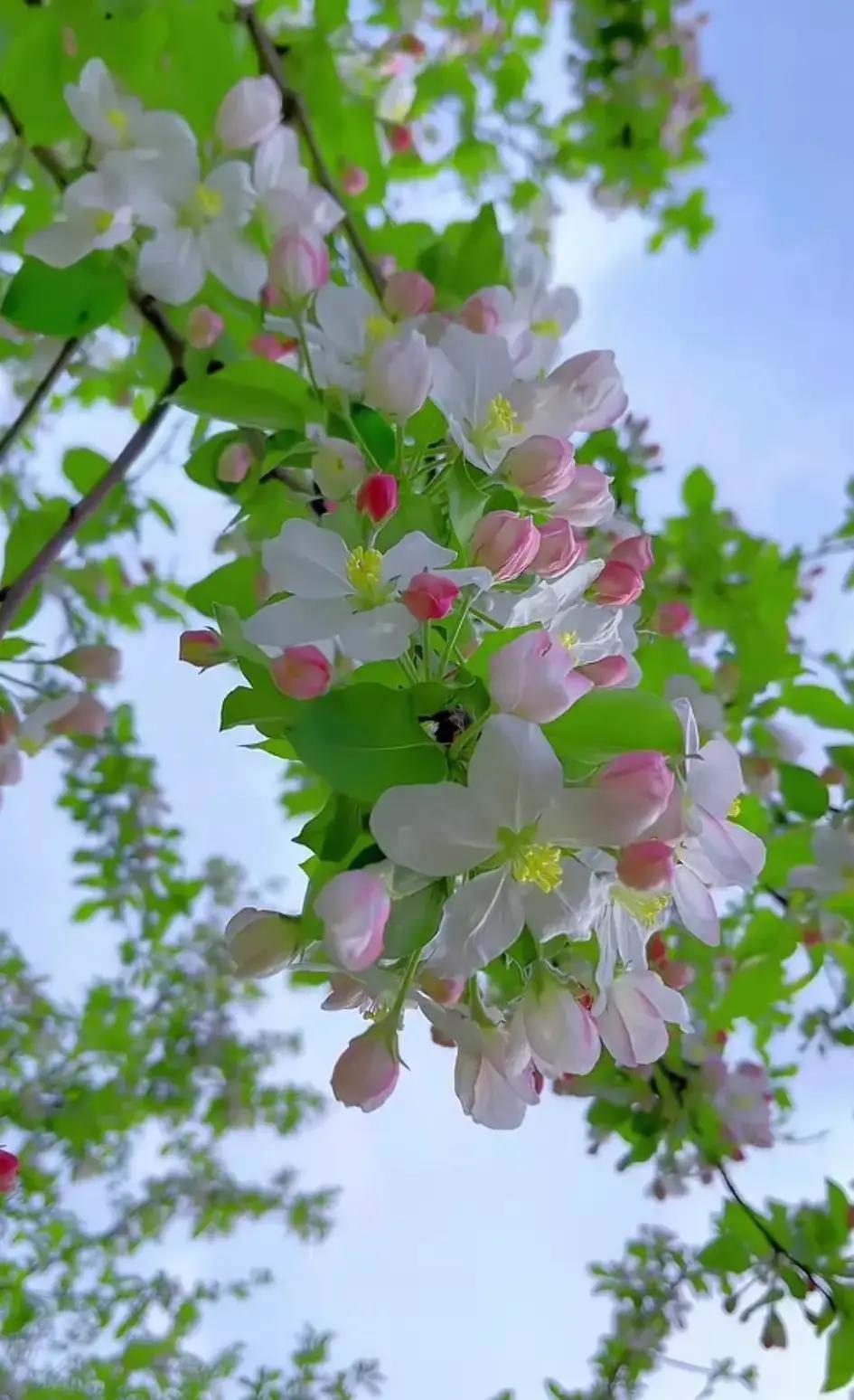 兄弟姐妹聚会最怕三种人。

第一种刚坐下就掏手机秀存款，嘴里说行情不好，眼神却往