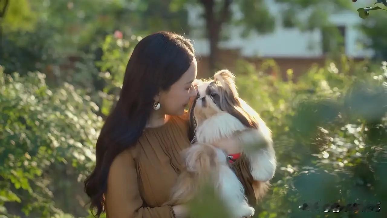 霍思燕晒惬意日常！与5只赛季名犬家中嬉闹，豪宅意外曝光太壕气

8月12日，霍思