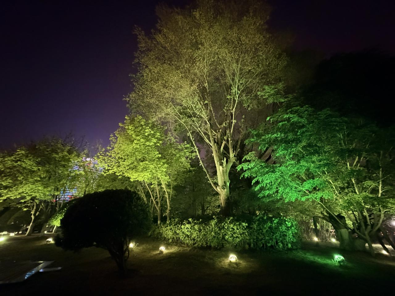 认知记。刚才读了轩哥写的小文，觉得挺好，勾起我的诉说欲望。他说，祖国是卧室，外国