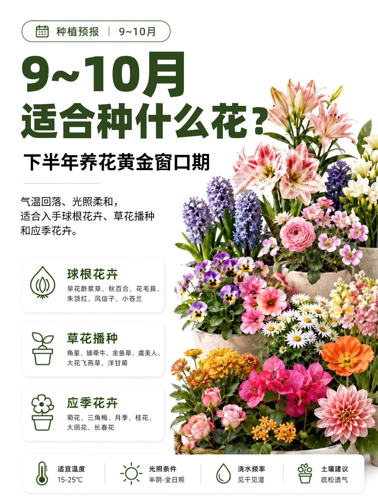 9-10月秋播清单｜这3类花现在种正合适~天凉下来了，又到了下半年最适合种花的窗