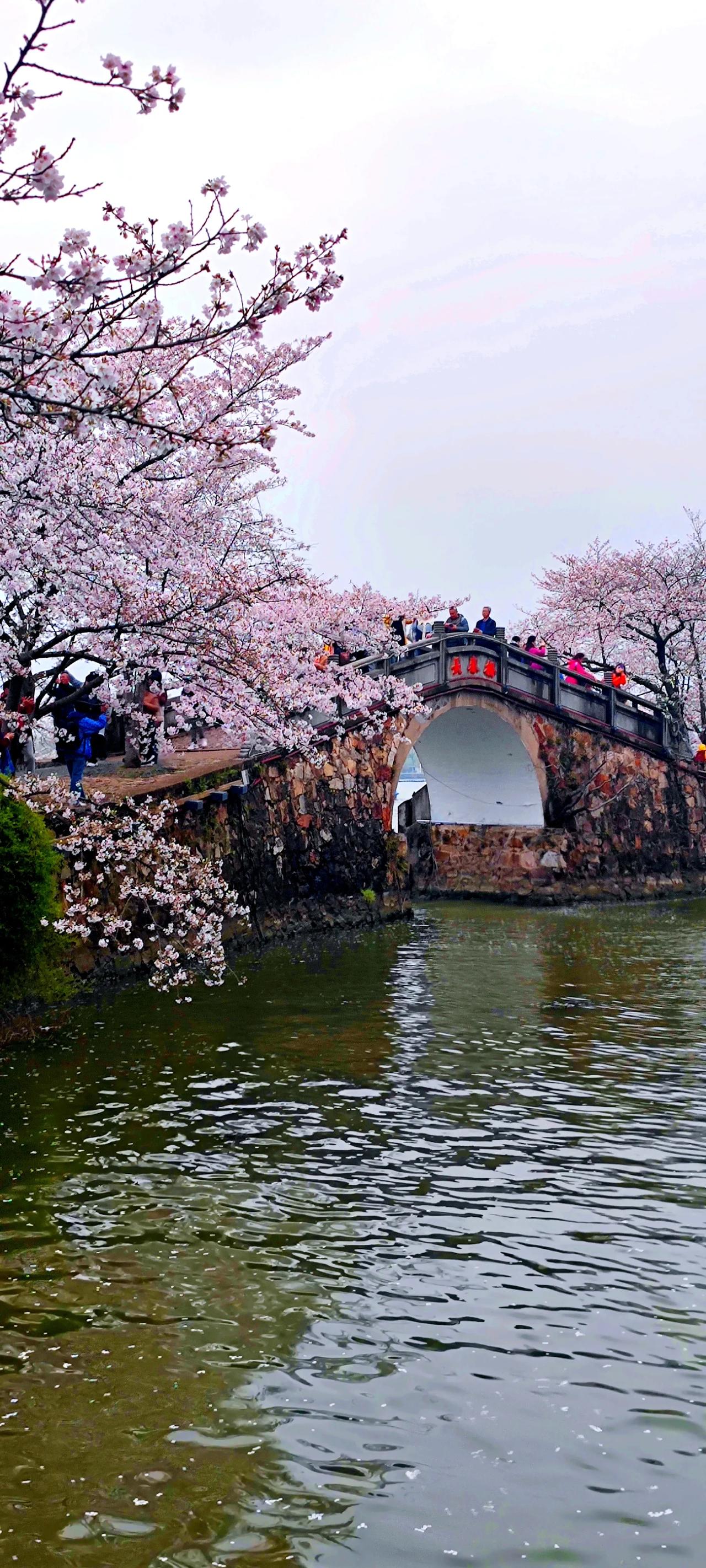 鼋头渚长春桥景区