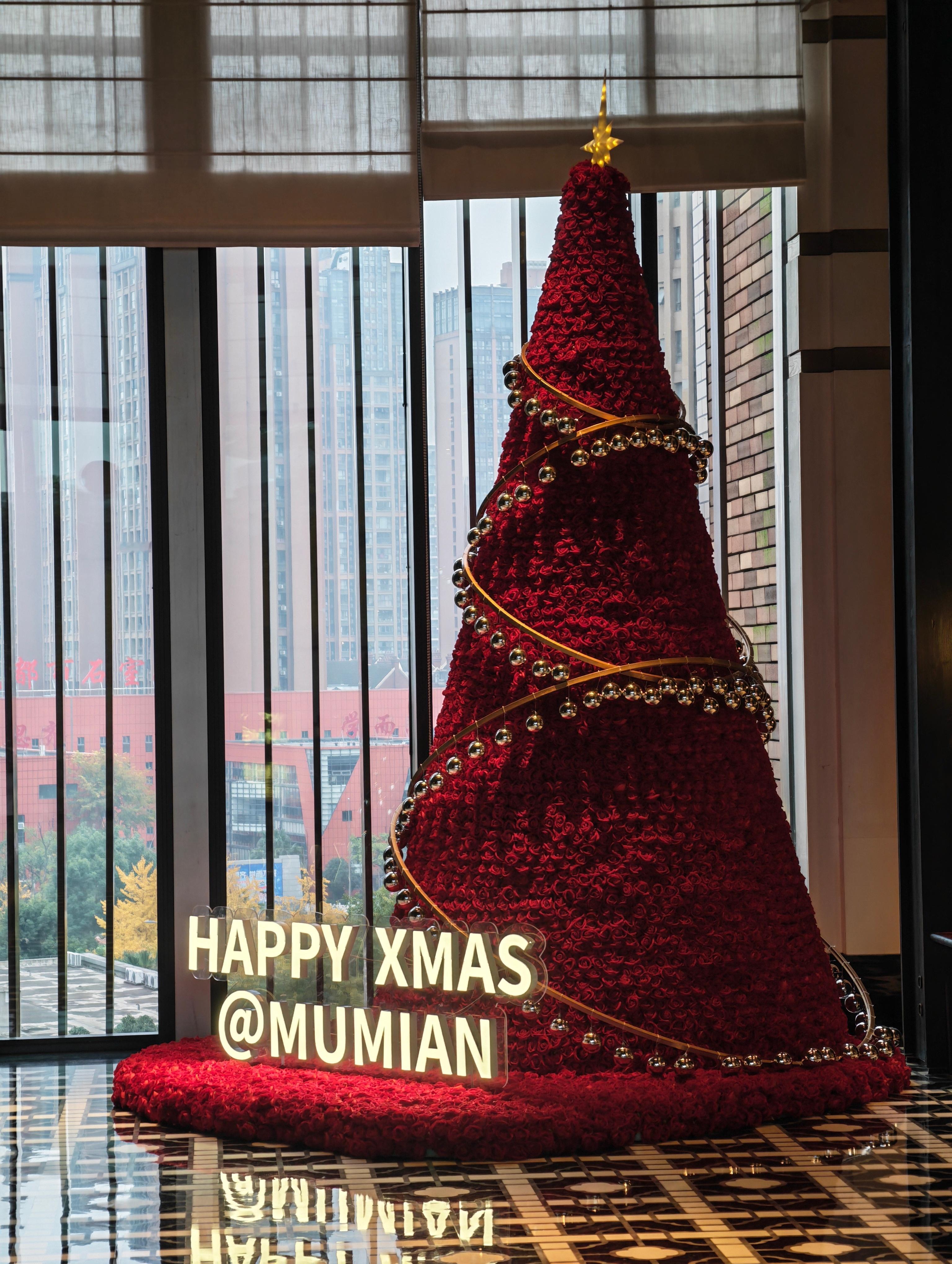刚进酒店就看到圣诞树了，今年快结束了 成都