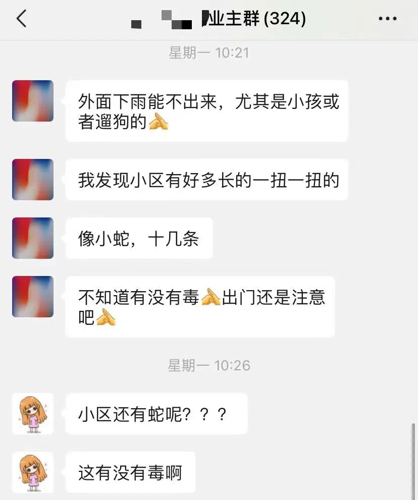 邻居说小区有十几条蛇，知道真相后人麻了🫠