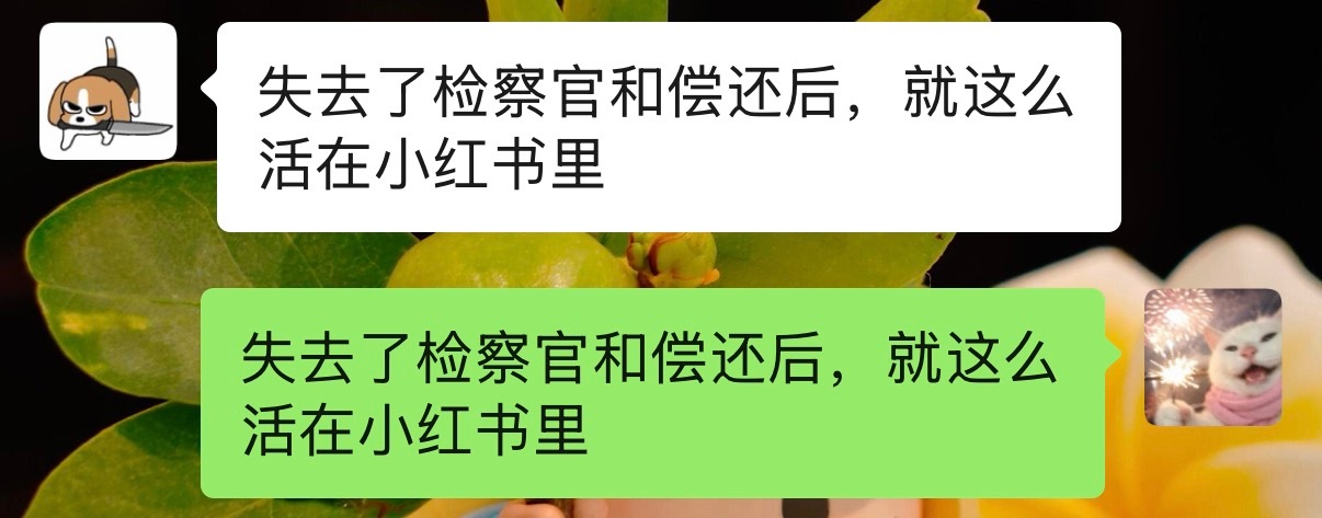 我和闺闺