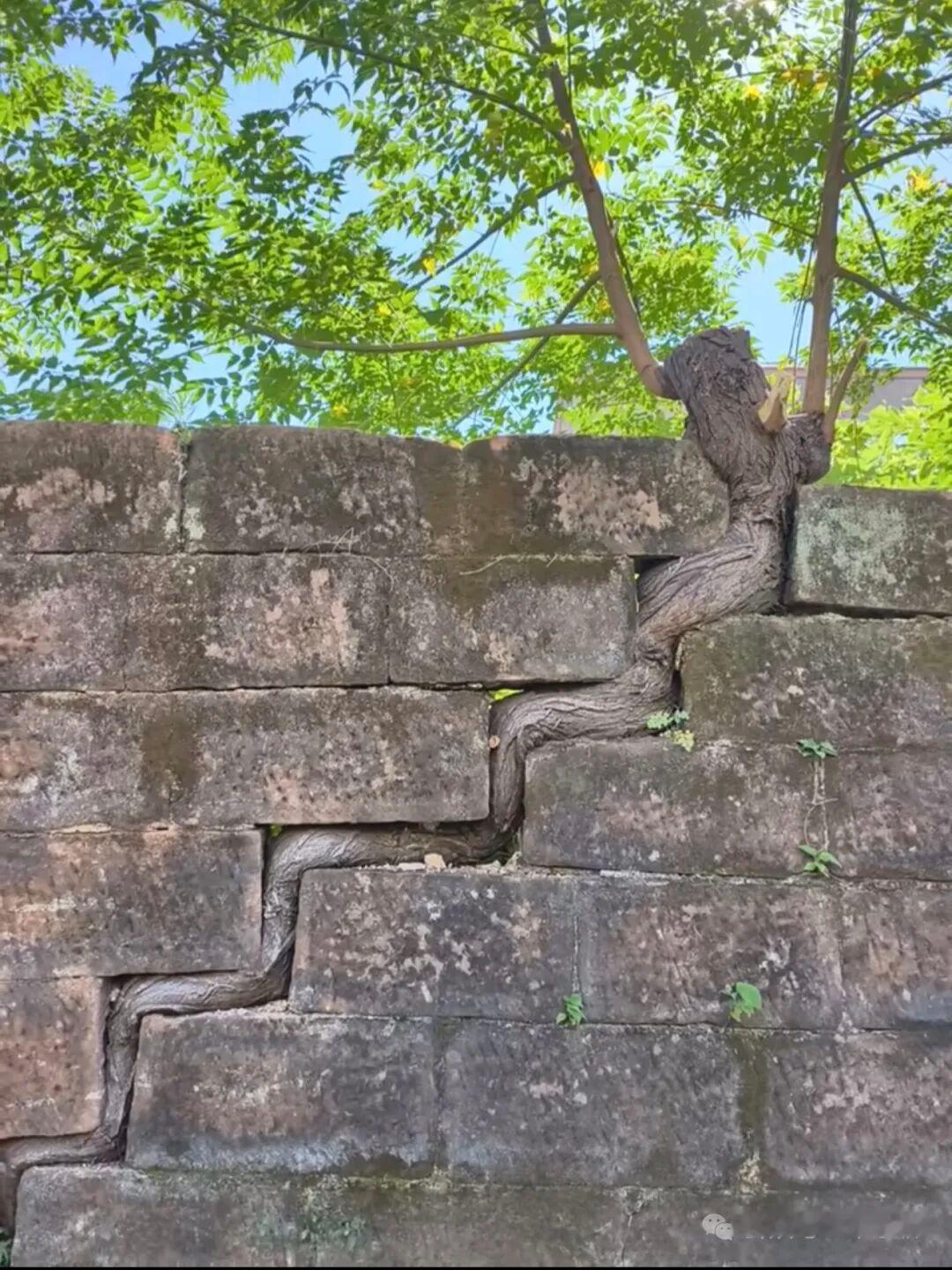 如何快速提升沟通能力
 
很多人误以为沟通能力好，就是能言善辩、口才出众，能把话