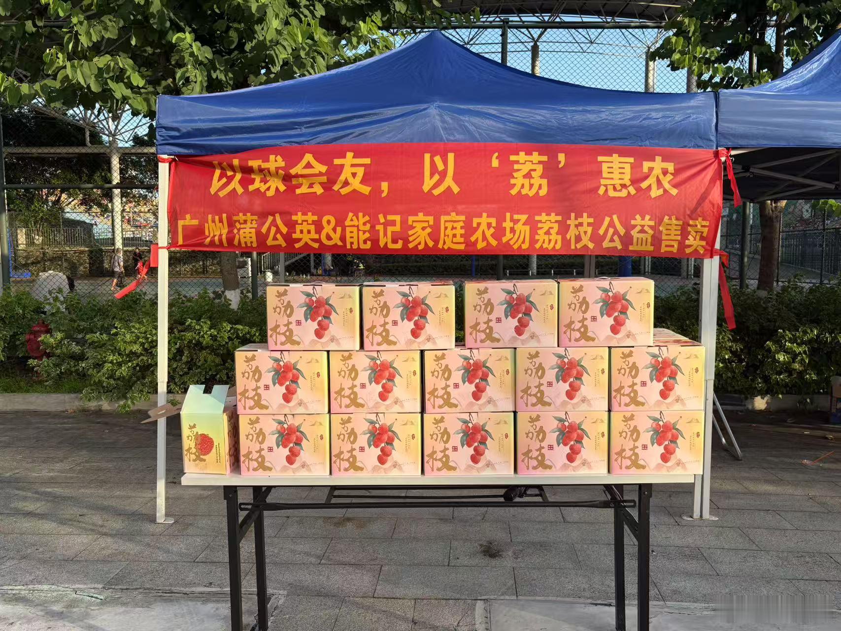 【以球会友，以“荔”惠农】活动今天下午在广州蒲公英德桦绿建主场比赛后盛大举行！—