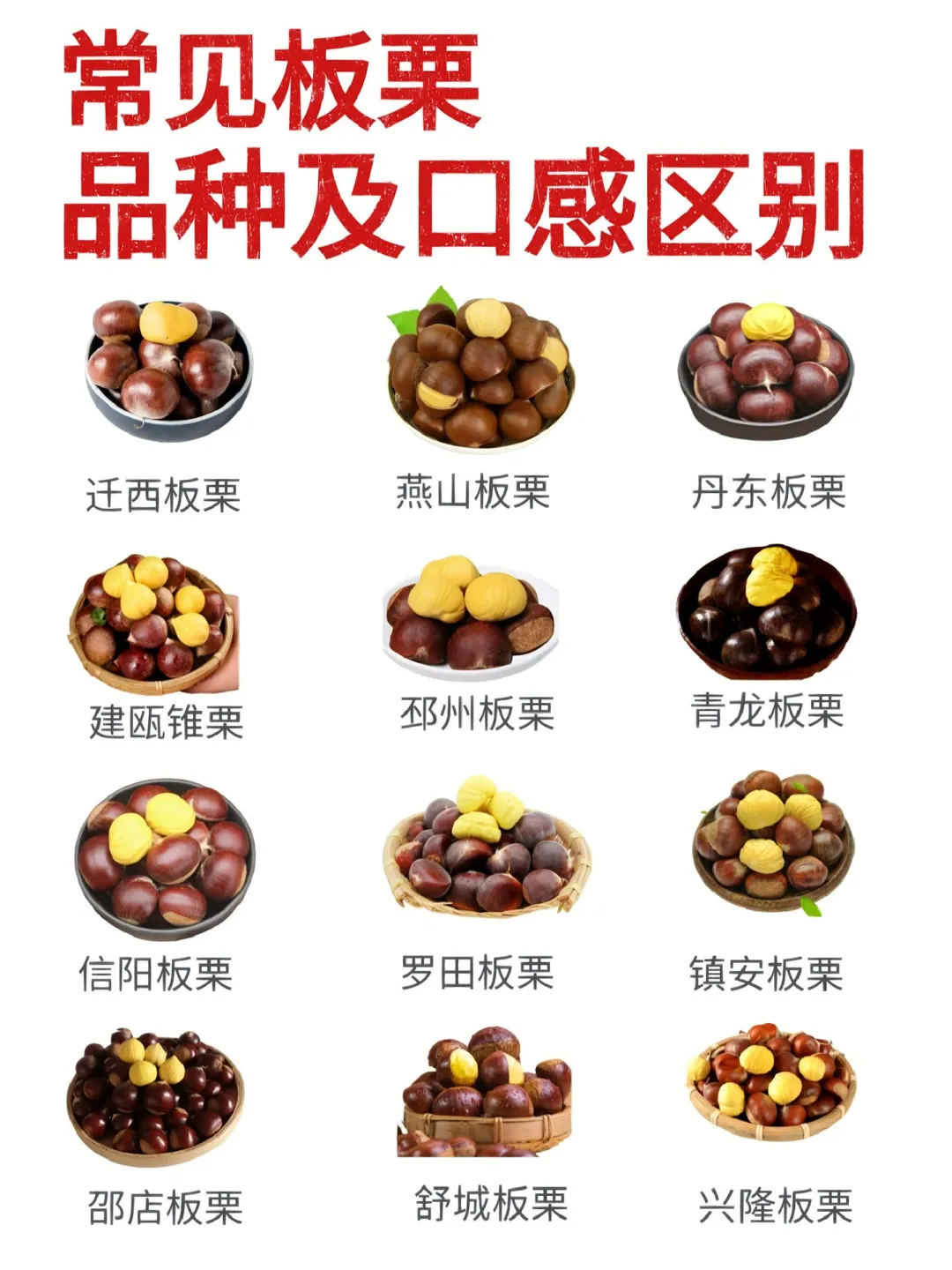 🌰 中国板栗图鉴 | 这些神仙栗子你吃过几种