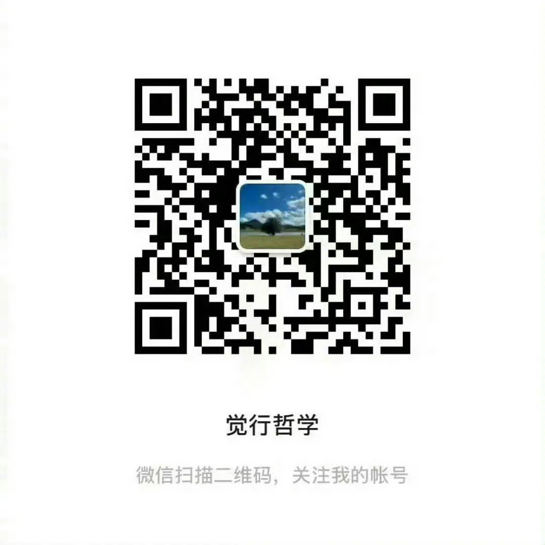 一套非常适合用来落地实践的哲学体系，《觉行哲学》微信公众号启航，欢迎大家关注。 