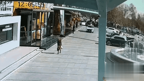 这种情况真不能怪司机，车速真的不快，第一时间也做出了反应，主责应该归于孩子家长，