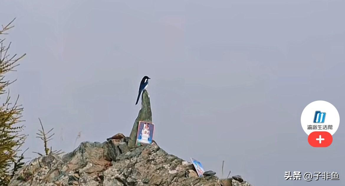 近日，一位福建游客在山西忻州景区游玩，无意间抬头望向远山，瞬间被眼前一幕看呆了…