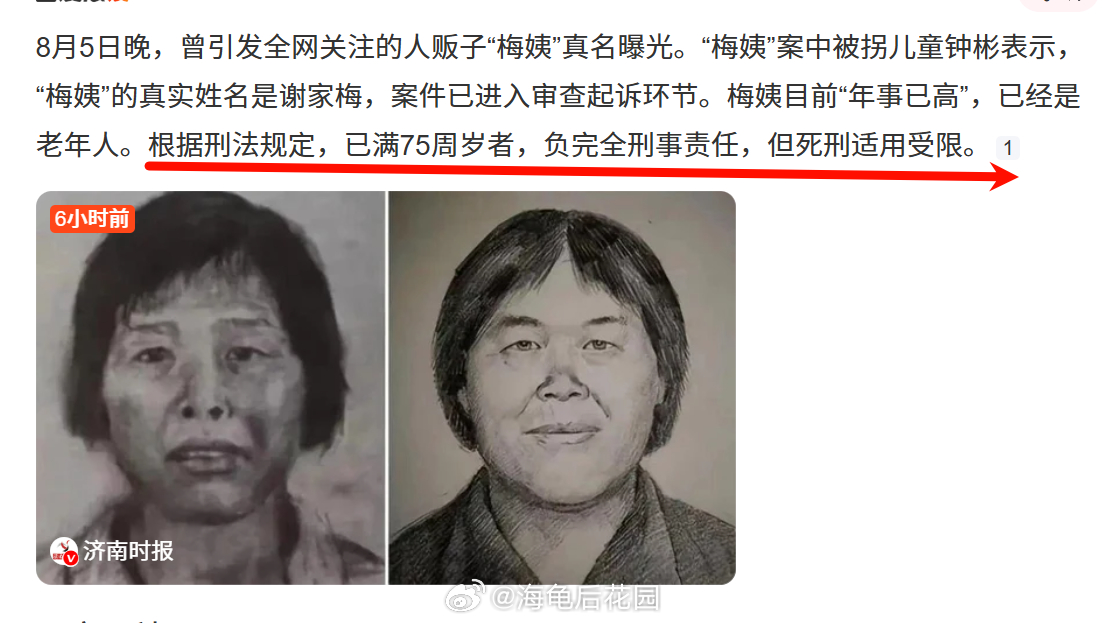梅姨能逃过死刑吗？被梅姨拐卖者称已被养父母删除梅姨真实姓名首曝光