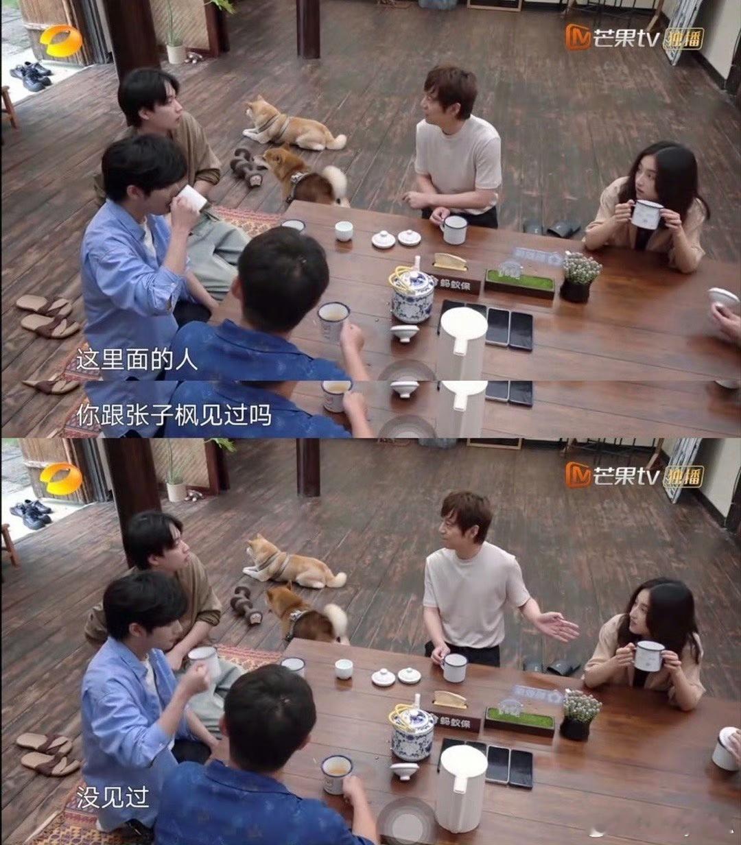 蘑菇屋的欢乐源泉！俩人集体失忆的互动，让人越看越笑～ 