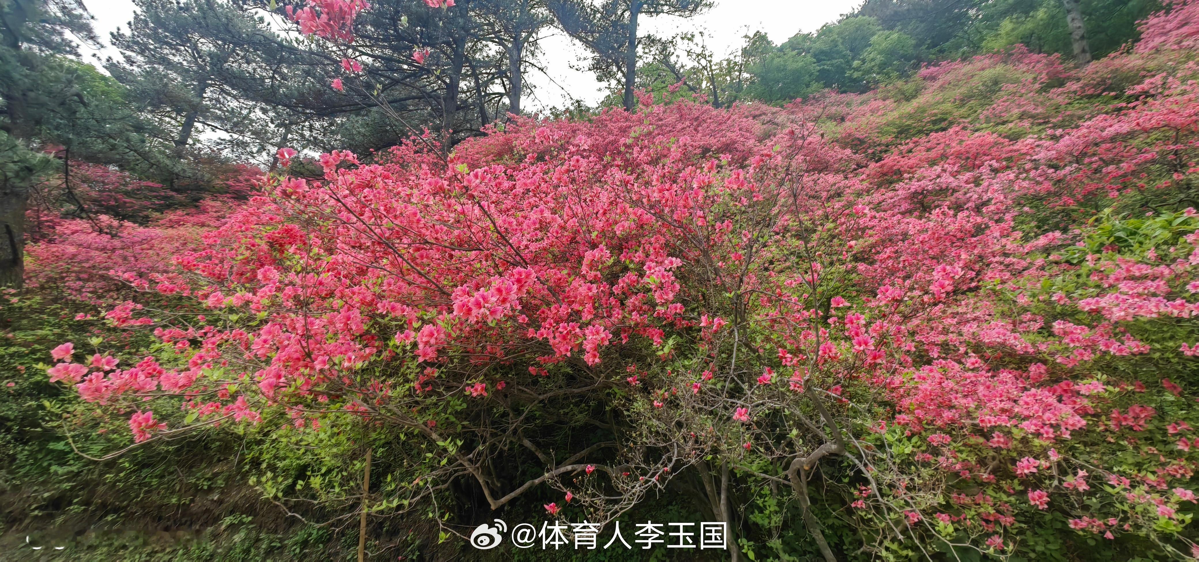 一个微笑，舒展美丽的一天；一条微信，传递美好的祝愿；一句问候，送上快乐和平安。早