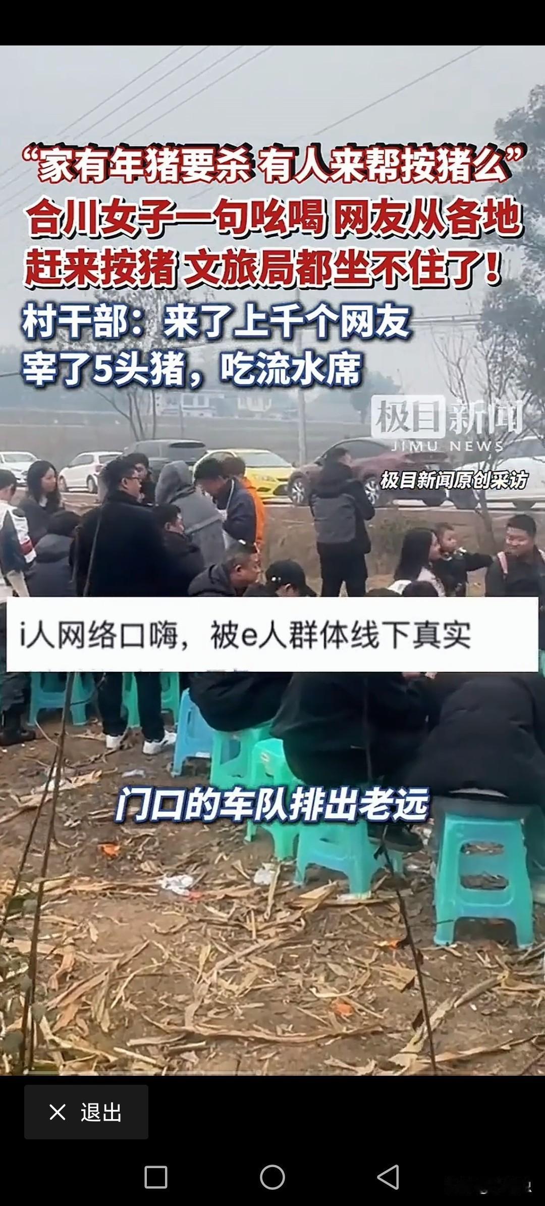 家里有年猪要杀，女子会养猪不会杀猪。
在网上求支援，来了上千个网友。
杀了5头猪