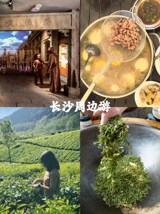 长沙周边五一采茶解压指南｜🆓治愈之旅