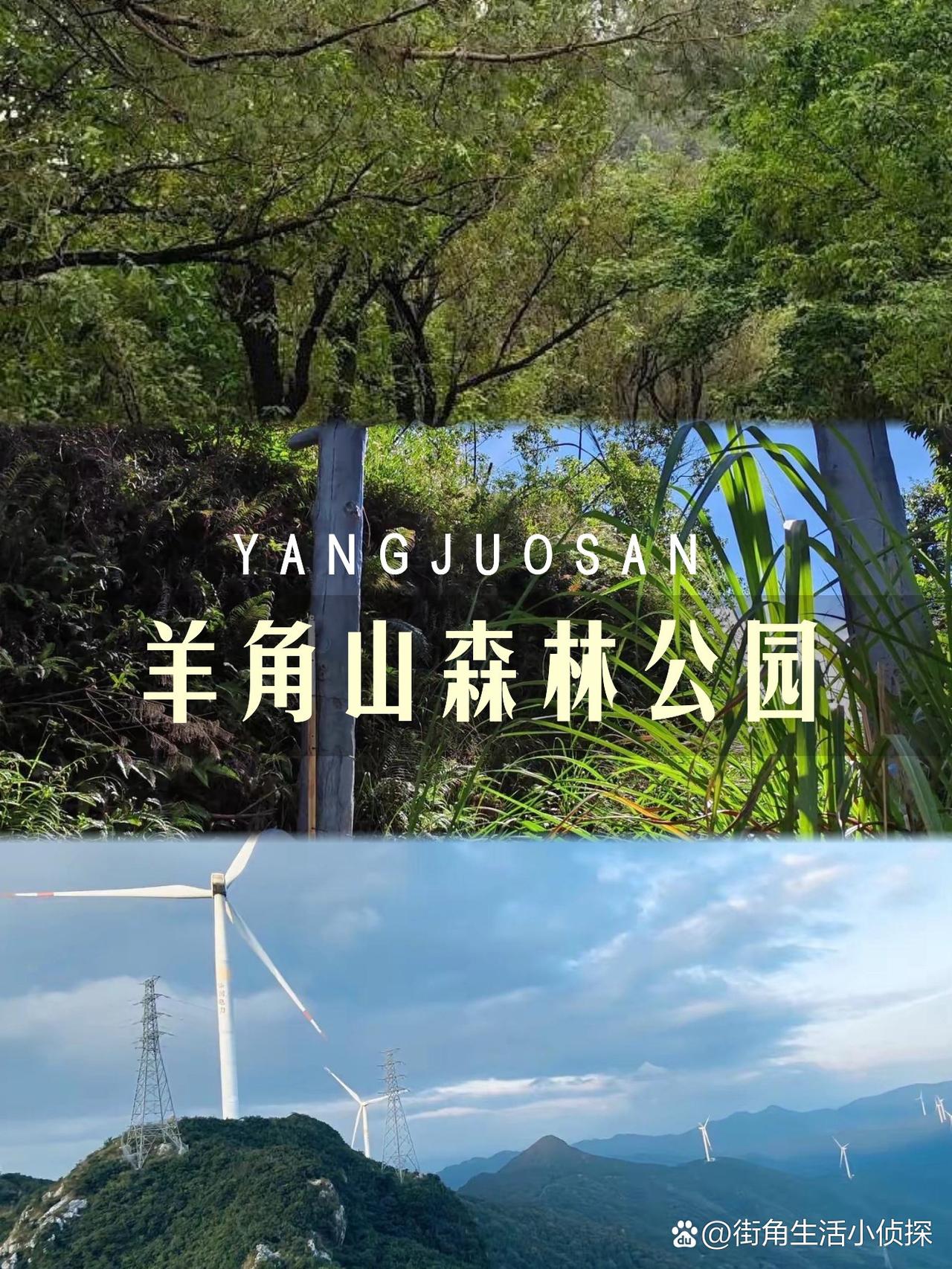 🌿清远羊角山森林公园一日游攻略

谁说广东没有天然氧？这个藏在清远的森林秘境，
