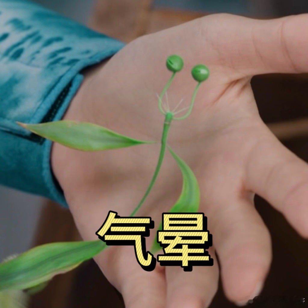 内娱史上最抽象男主化身出现了 男主元神幻化小叶子太抽象！温柔本体秒变傲娇高需求小