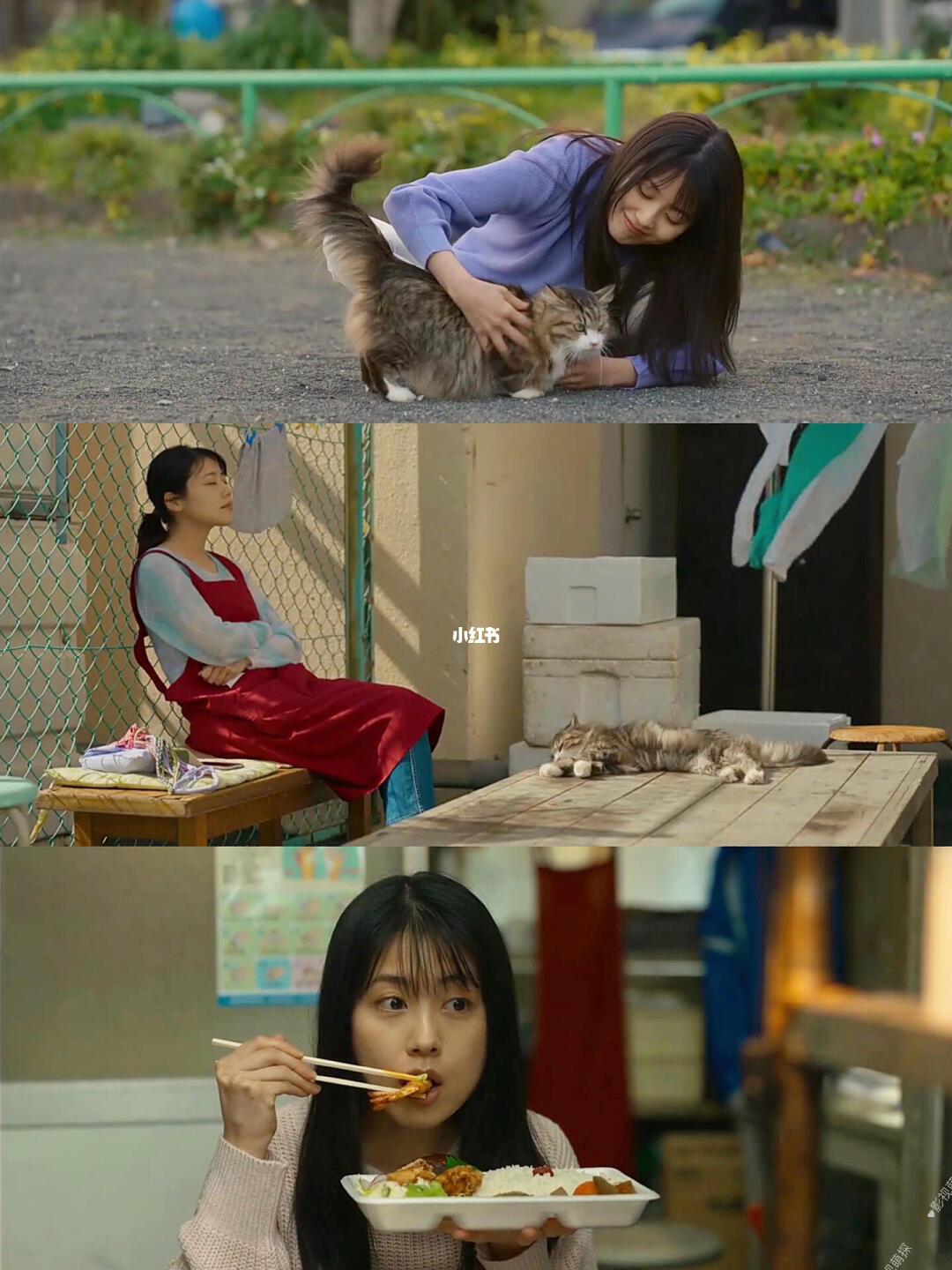 巨巨巨好看😭这部电影治愈了我的孤独感❗️