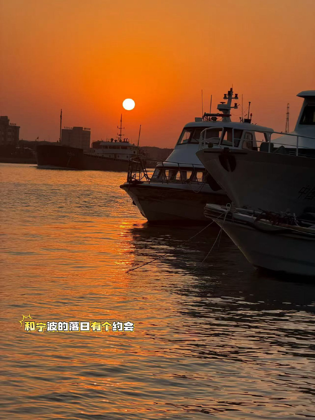 看出来高圆圆很努力在自拍了 圆圆这份年终总结太可爱了！自拍作业一张比一张生动，真