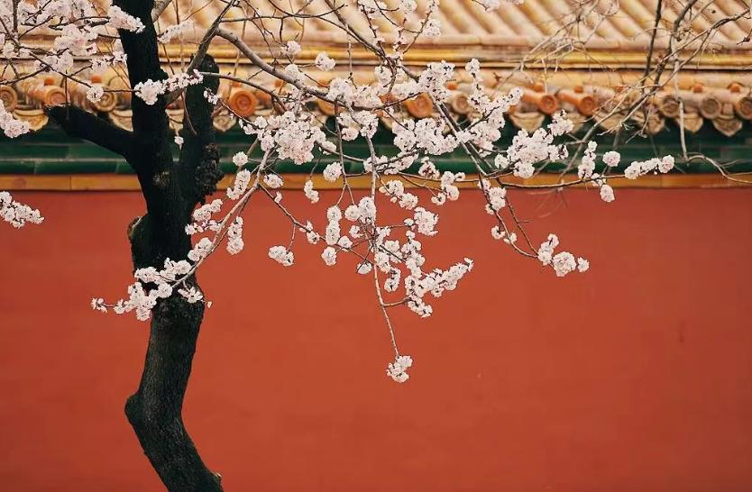 本世纪仅 3 次！荆州人今天撞见罕见天象，错过再等 19 年
今天荆州人的朋友圈