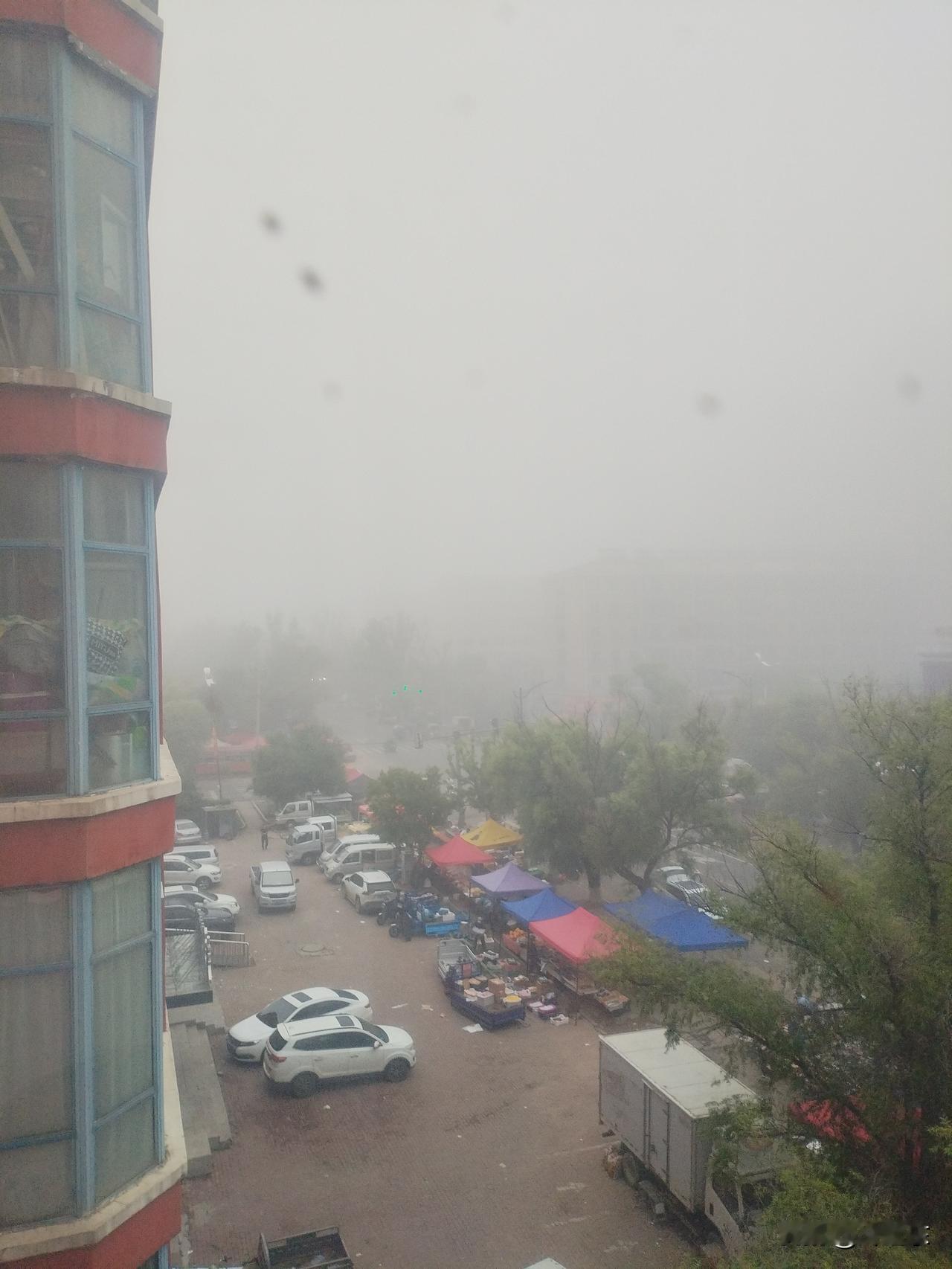 雾朦胧
雾气迷朦影琼楼，
隐约可见树梢头。
相逢咫尺难觑面，
请续句……
（笑声