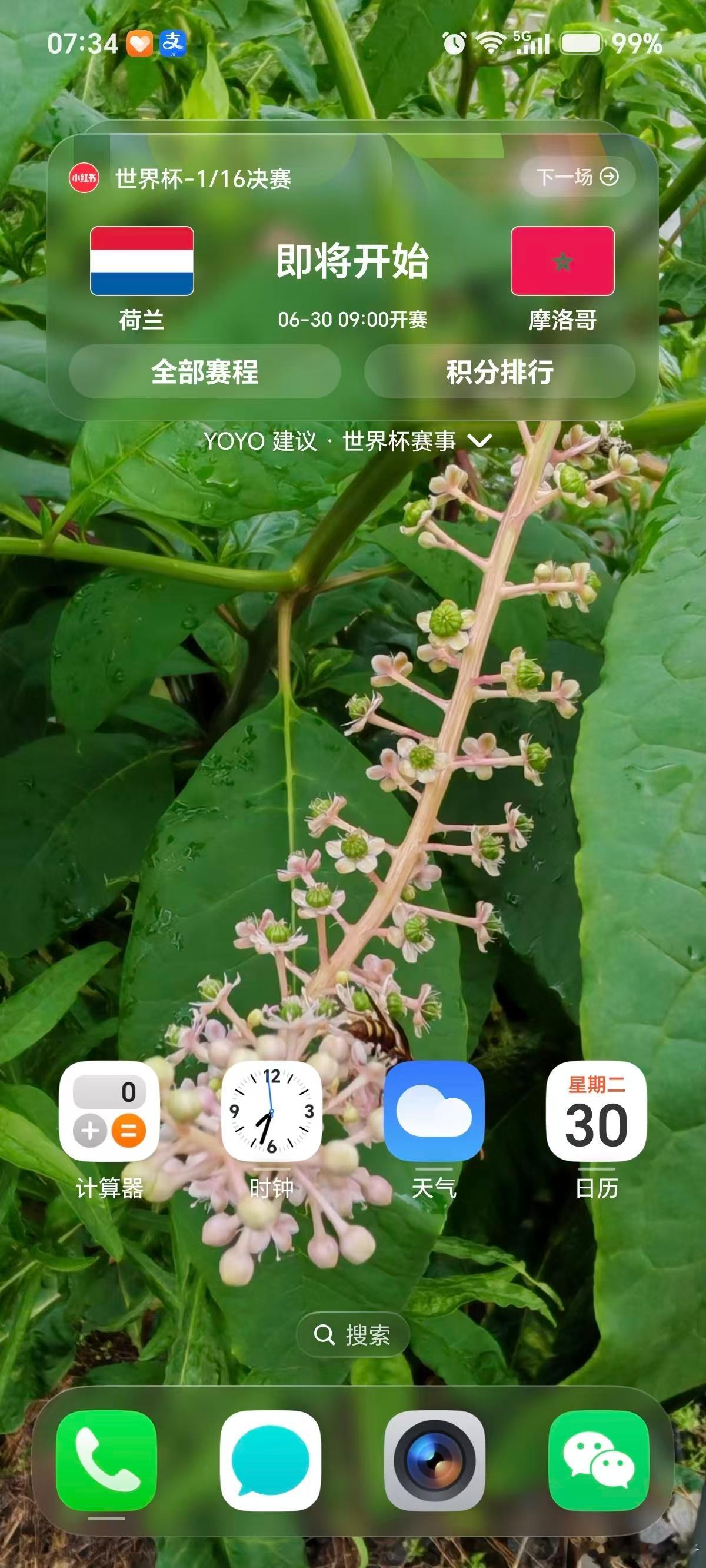 从“怕错过”到“轻松追”，YOYO改变观赛体验以前看世界杯总担心错过比赛：定闹钟