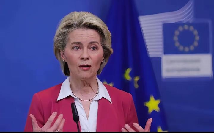 欧盟27国，集体跪了！
欧盟这次，意见出奇地一致。二十七个国家，全都举手同意了。