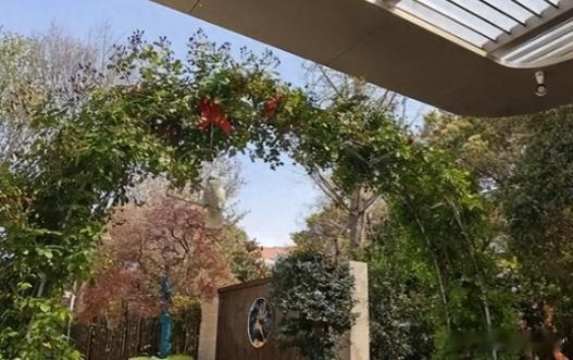 邹市明在上海的别墅火了：门前庭院，花草环绕，一家五口超温馨 ​​​