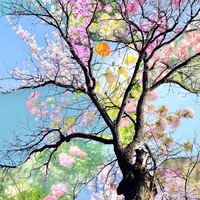 精准抄底逃顶后，明天紧盯量能——2026年4月2日早盘猜想昨日复盘：高开高走完美