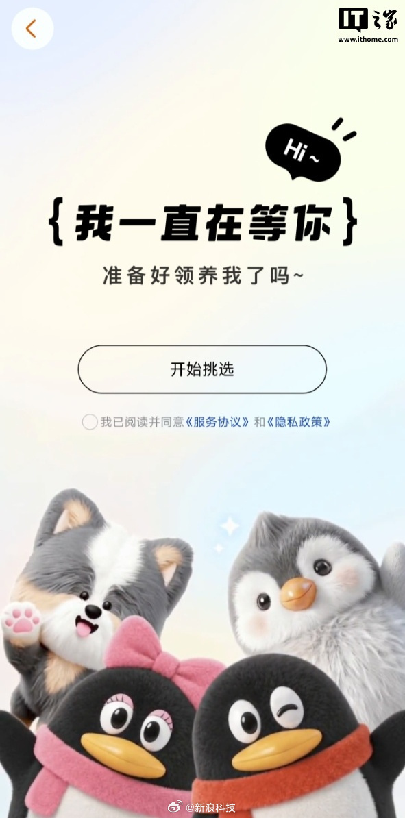 腾讯全新QQ宠物上线 QQ宠物 感觉已经是上辈子的事情了