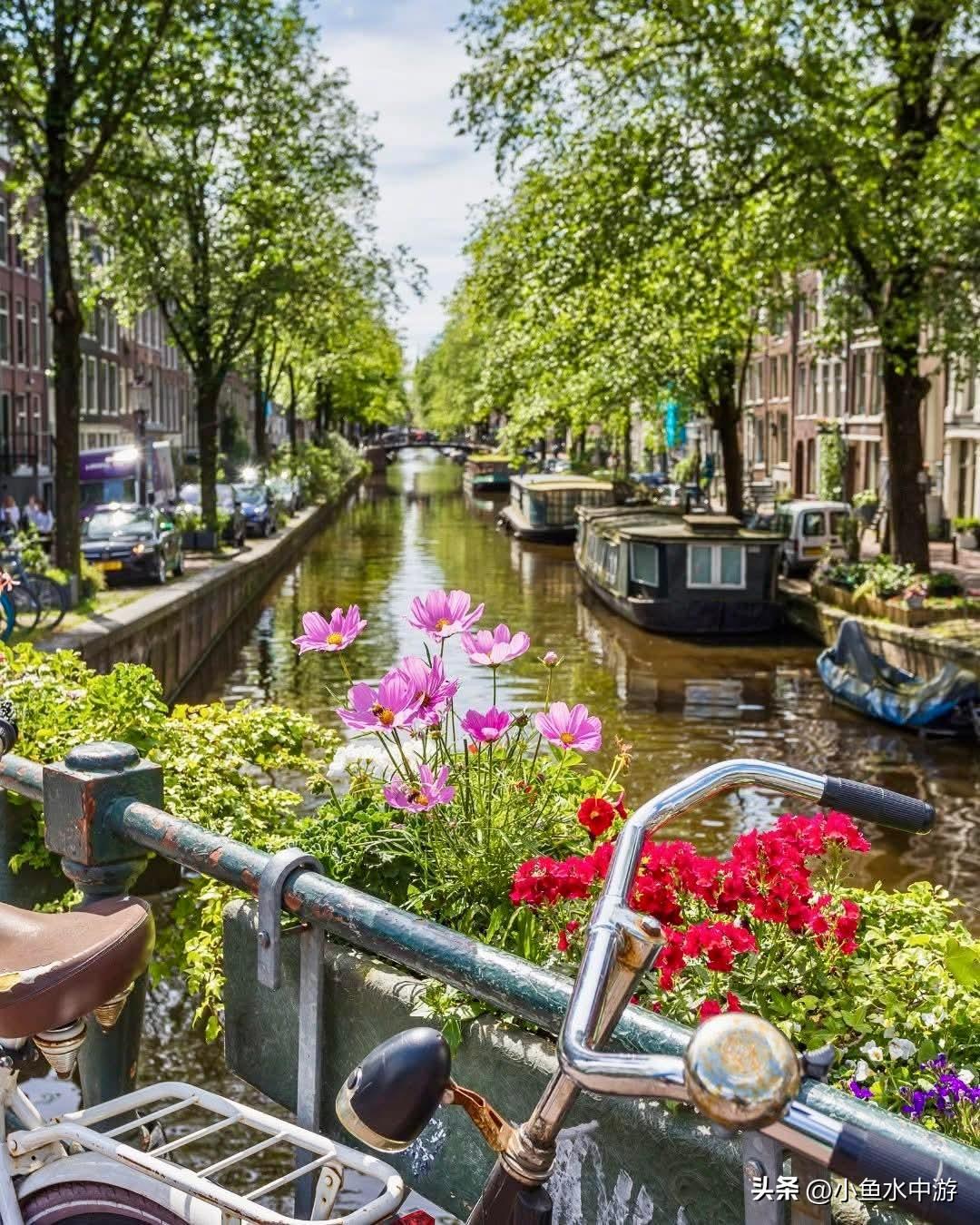 荷兰 🇳🇱 阿姆斯特丹的运河水有多深？可以跳进去“游泳”吗？
 
阿姆斯特丹