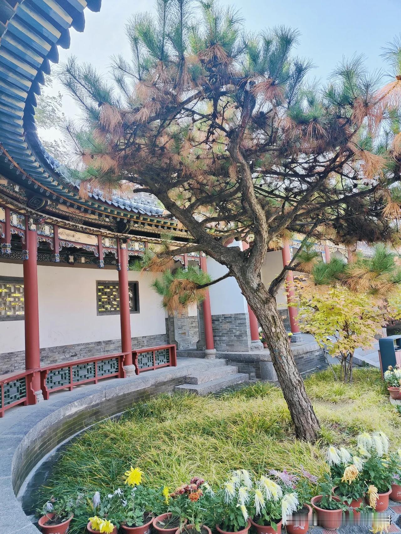看了最近的电视剧，再对比结婚率和生育率，感觉国家有可能会取消一夫一妻制