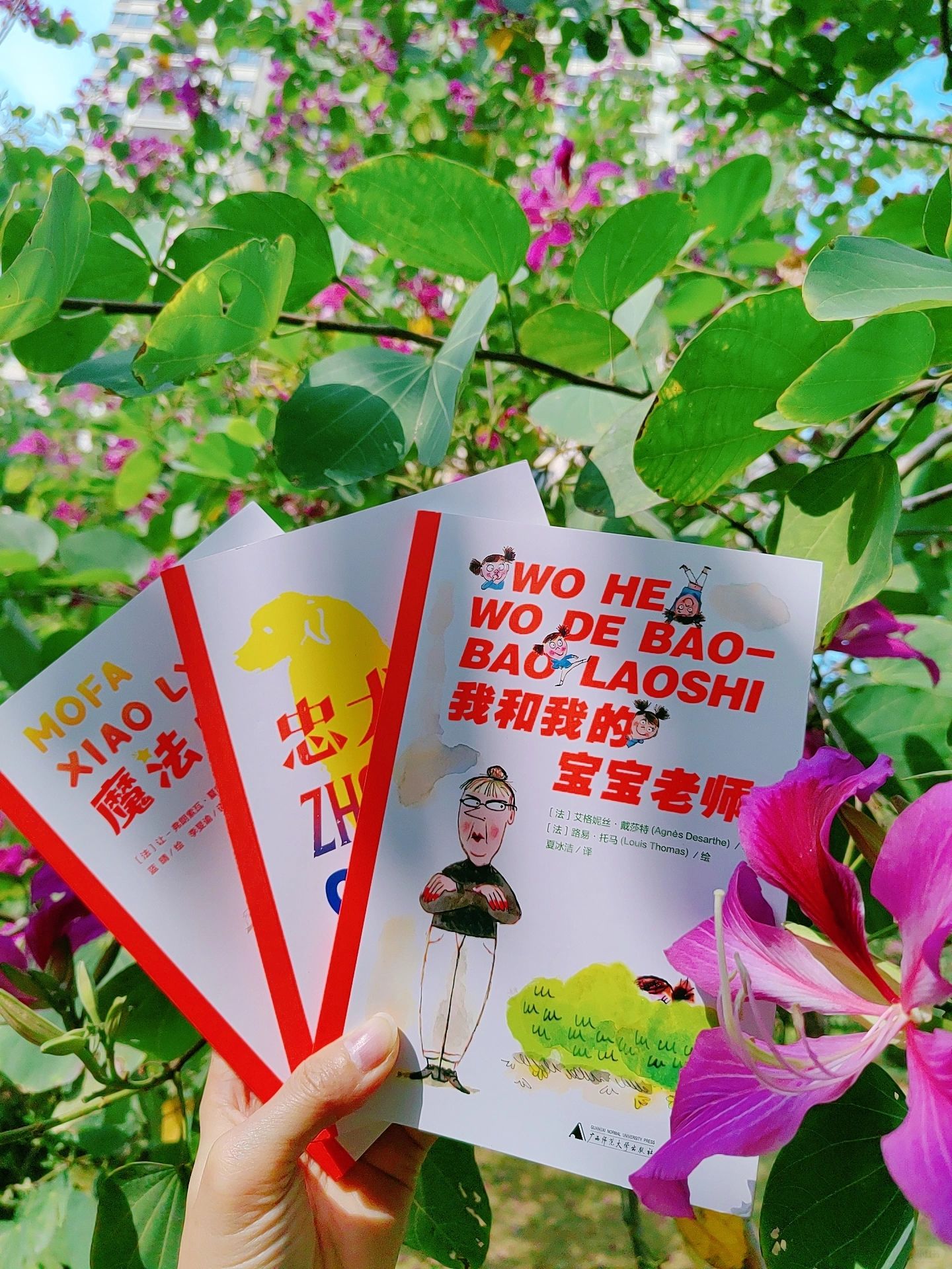 儿童文学的“卢浮宫”，魔法象法语大奖书屋