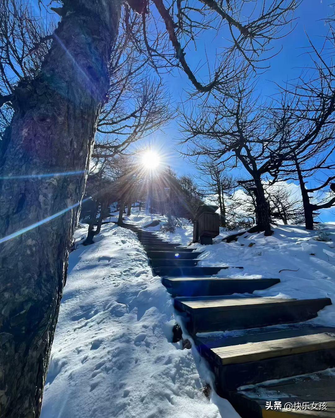 性格会决定人生吗