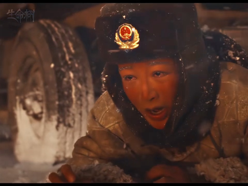 “我在这”“找到你了”生命树剧粉