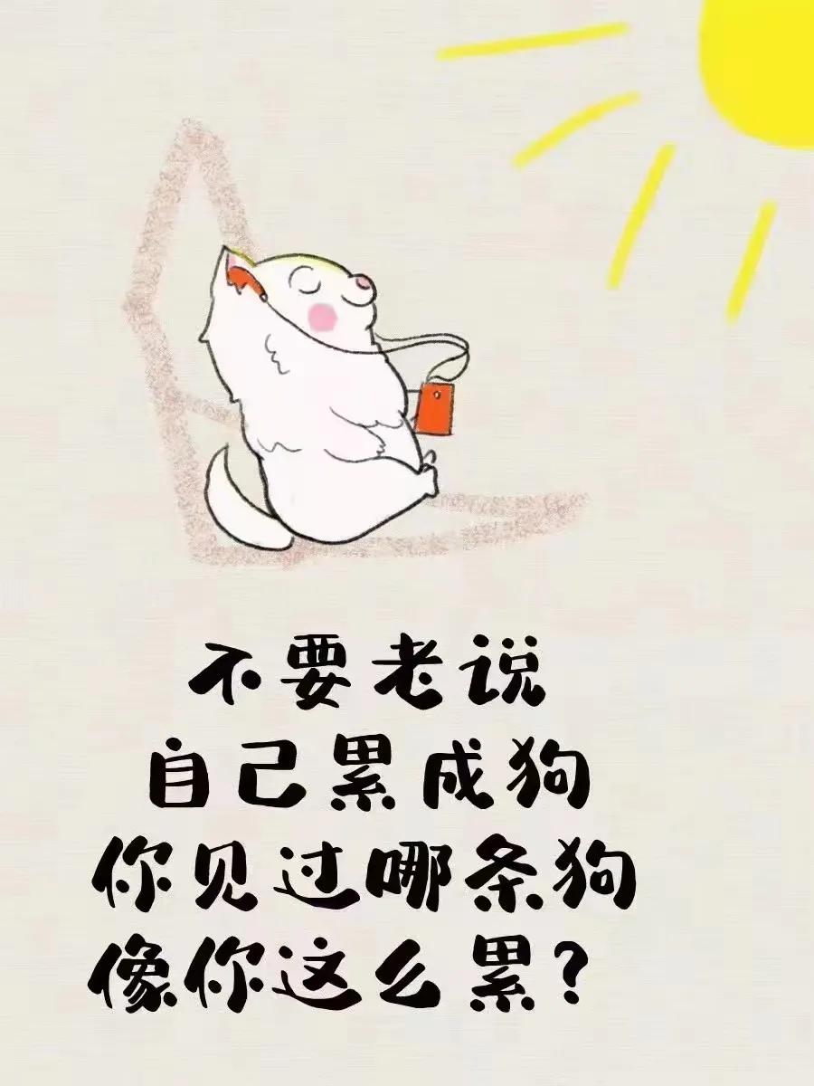 不要说自己累成狗了，你现在能有过过的舒服。听起来很扎心[泪奔]