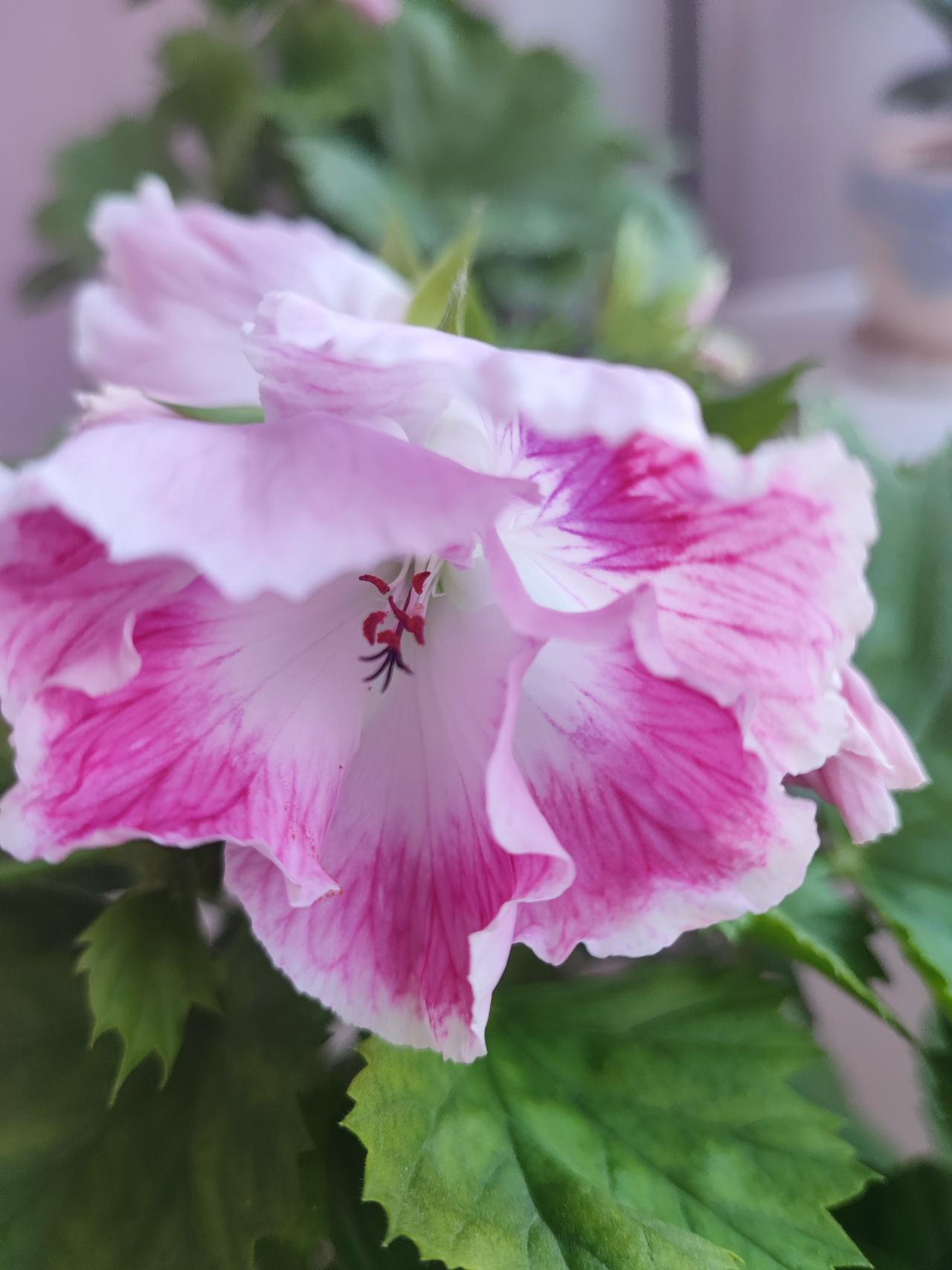 不知道你有没有这样的感觉，
每次刷完抖音，
都会让人有一种茫然和空虚！
它不知不
