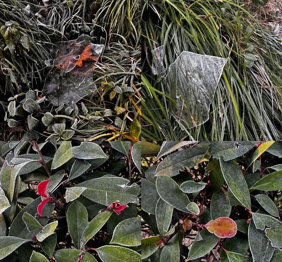 冷🥶 降温 上海的冬天 结冰 
冷🥶
降温 上海的冬天 结冰