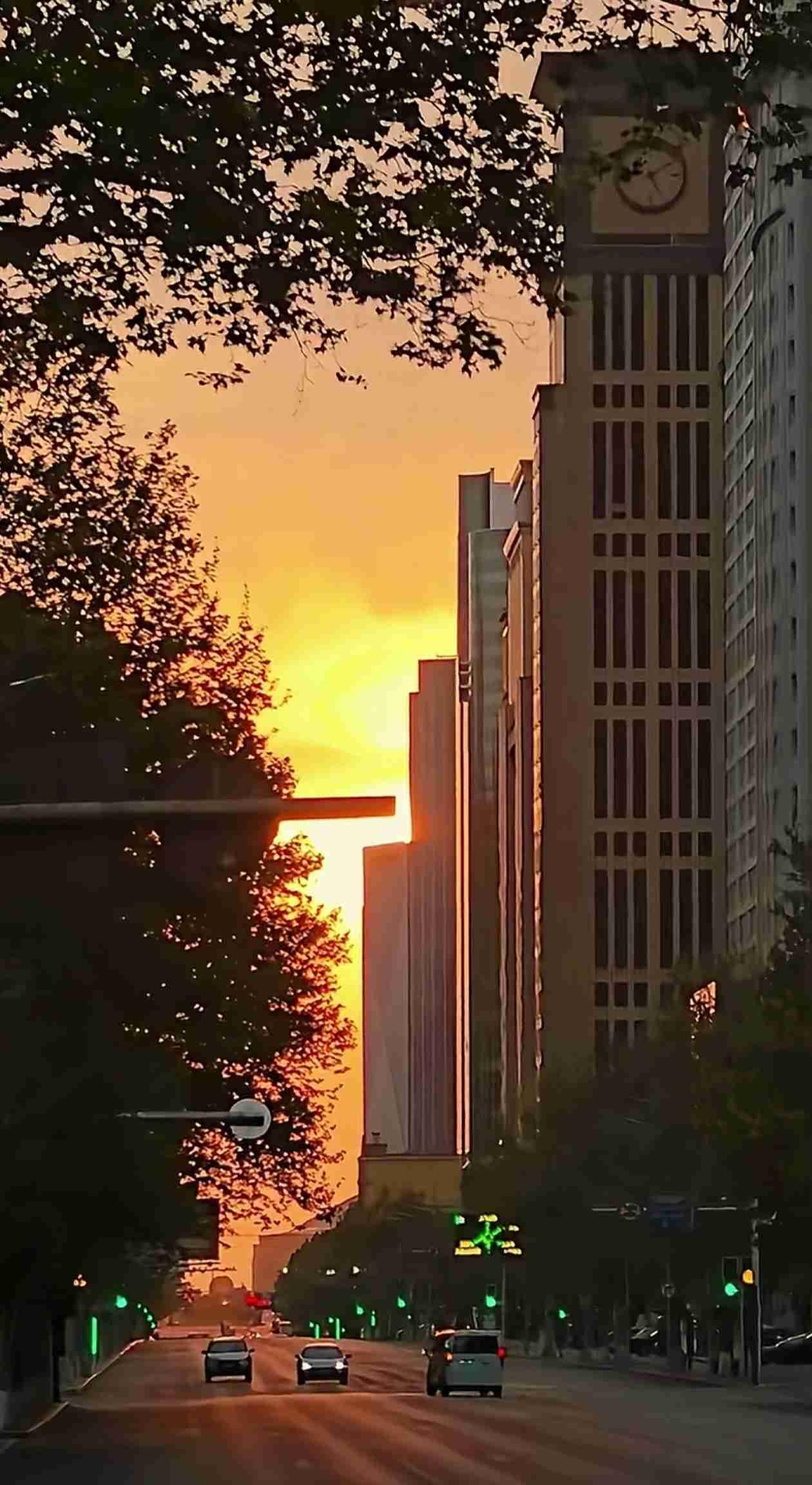 我的今日状态：😁轻松愉快
我这里的天气：☀️晴天

我们终究是时间的过客，
既