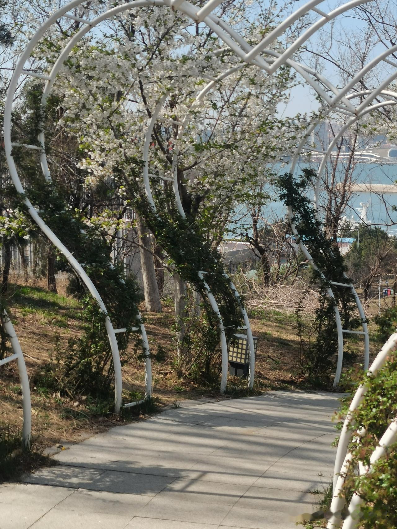 邻村85岁男老人，一趟趟往镇上跑，要求相关部门帮忙他和儿子脱离父子关系…
到底有