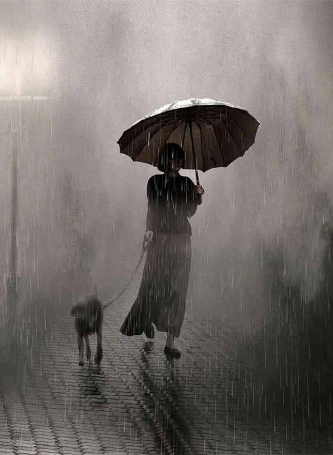 当你穿过了暴风雨，你就不再是原来那个人。——村上春树