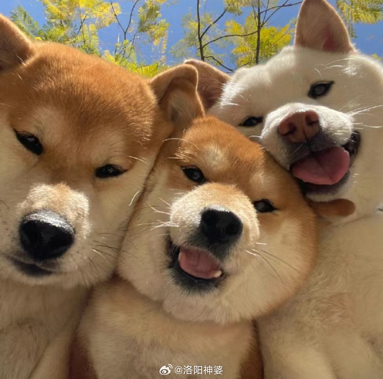口红效应说明大家没钱了怎么快乐怎么花