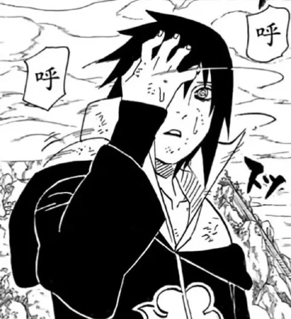 宇智波佐助 佐助只知道宇智波佐助人气断层领先，实力稳居巅峰，公认天才强者，永远的