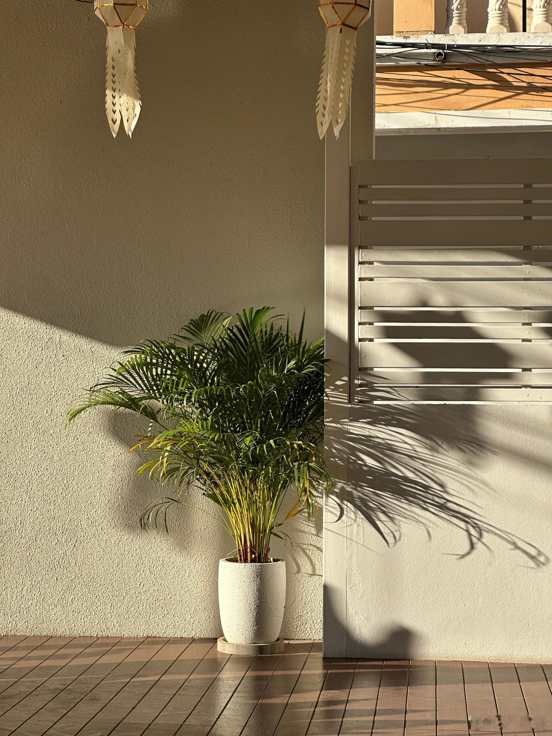 不要预设和别人共渡一生，就自然的相处，命运把你们带到哪里就到哪里。天若有道，自不