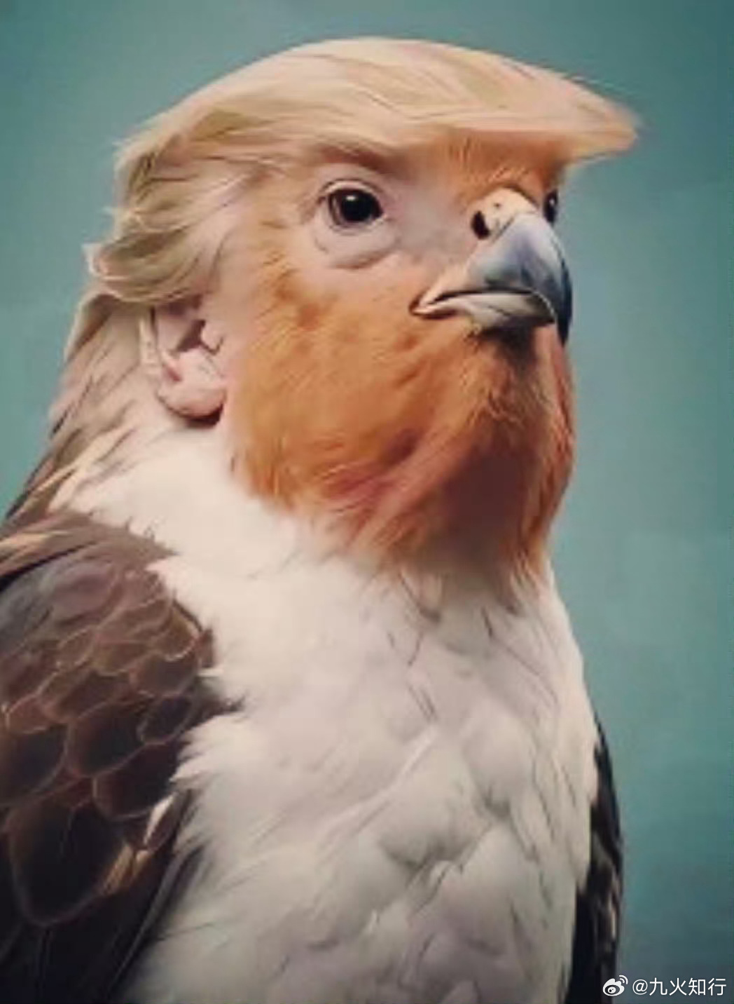 大家早！今天是清明节，愿逝者安息，生者安康。特朗普又发起了碎碎念威胁，48小时的